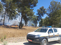  Пожар в лесу А-Малахим; сотрудники полиции эвакуировали около 150 туристов