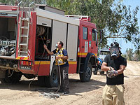 "Огненная интифада" Газы. Репортаж о тех, кто борется с пожарами