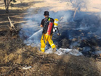 Около Бейт-Меира огнем уничтожены 150 дунамов растительности