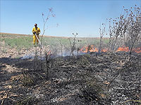 Возгорание кустарника в лесу Дорот, недалеко от Газы