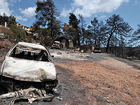 Жертвами пожаров в Греции стали не менее 50 человек 
