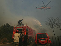 Количество жертв пожаров в Греции превысило 70 человек