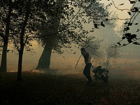 Власти Греции полагают, что лесные пожары стали результатом поджога