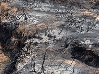 "Огненные шары" привели к пожарам на территории кибуца Эрез  