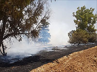 В заповеднике около границы с Газой возник пожар