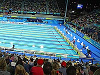 Чемпионат Европы по плаванию: результаты израильских спортсменов