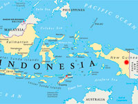   Авиакатастрофа в Индонезии: восемь погибших, один выживший