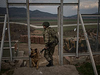 В Турции отчитались о "нейтрализации" десятков боевиков