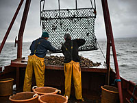 "Война гребешков": французские и британские рыбаки подрались в проливе Ла-Манш 
