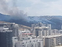 Сильный пожар на склоне горы Кармель, эвакуирован детский сад