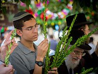 Израильтяне готовятся к празднику Суккот