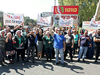 Рабочие завода "Милоталь" возобновили забастовку
