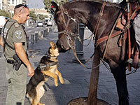 На севере Тель-Авива проходят учения спасательных служб и полиции