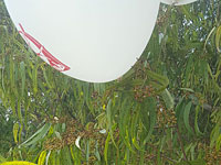Воздушный шар с привязанной к нему гранатой обнаружен в Эшколе