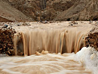 Иордания: в результате наводнения в районе Мертвого моря погибли пятеро школьников