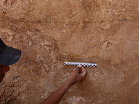 Корабли в пустыне. В Беэр-Шеве обнаружен резервуар с римскими рисунками   