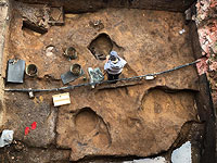 Археологи нашли в Подмосковье череп мамонта с кладом внутри  