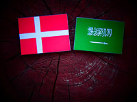 Дания приостанавливает выдачу лицензий на экспорт оружия Саудовской Аравии