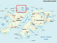 Третий остров Фолклендов выставлен на продажу с овцами и пингвинами