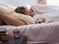 Исследование: женщины засыпают рядом с собакой лучше, чем с партнером или кошкой