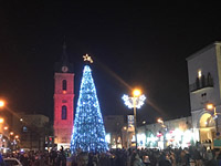 В Яффо состоялась церемония зажжения огней на Рождественской елке