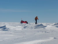 Мировой рекорд: американец Колин О&#8217;Брэйди пешком пересек Антарктиду