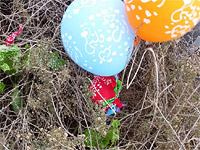 В районе Сдот Негев найдены "огненные шары". 28 декабря 2018 года