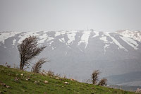 На вершине Хермона начался снегопад. 7 января горнолыжный курорт будет закрыт