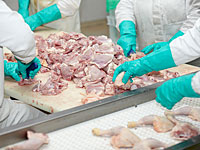   Саудовская Аравия отозвала лицензии 33 бразильских экспортеров курятины