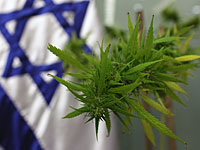 Правительство Израиля одобрило экспорт медицинской марихуаны  