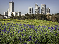 Индекс качества жизни:  жить в Израиле стало лучше
