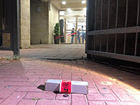В Кирьят-Малахи в здание полиции брошена шоковая граната
