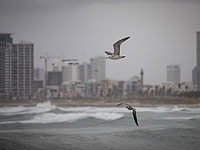 Между мартом и апрелем: весенняя буря в Израиле