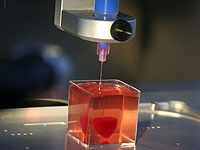 Le Figaro: Израильские ученые напечатали мини-сердце на 3D-принтере