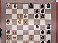 ФИДЕ собирается провести чемпионат мира по шахматам Фишера. Приглашаются все желающие