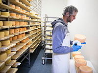  Государство оштрафовало компании, не выполнившие обязательств по беспошлинному импорту сыра, мяса и масла