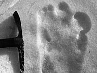 Вооруженные силы Индии объявили об обнаружении следов снежного человека