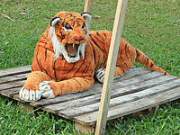 Дикий тигр, напугавший жителей Кирьят-Яма, оказался плюшевой игрушкой