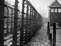 Американский онлайн-магазин подвергся критике из-за продукции с изображением Освенцима