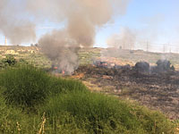 Возгорание травы и кустарника произошло в Бейт-Шеане