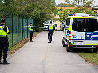 МИД: нападение на активистку еврейской общины Швеции совершил мусульманин