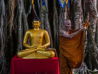 Весак: чествование Будды в Индонезии. Фоторепортаж 
