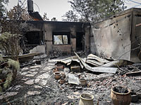 В поселке Харель разграблены дома, хозяева которых были эвакуированы из-за пожара