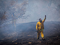 В лесу А-Наси, возле Мицпе-Харель, возник пожар