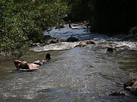 Минздрав запретил купание в пяти ручьях Голанских высот