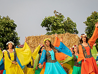 Сотни тысяч израильтян провели праздник Шавуот на природе