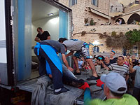 В порт Яффо доставили выловленных голубых тунцов весом в сотни килограммов  