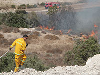 Возгорание травы и кустарника возле поселка Элон-Море в Самарии