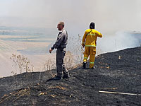 Около поселка Ицхар возник сильный полевой пожар