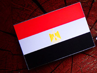 Египетская делегация отправится в Бахрейн для  участия в конференции по "сделке века"